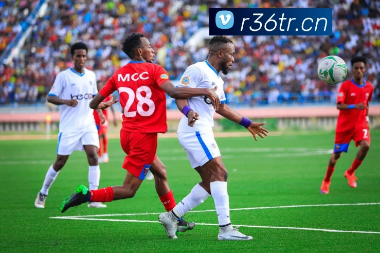 云顶集团官方入口APP 封面图